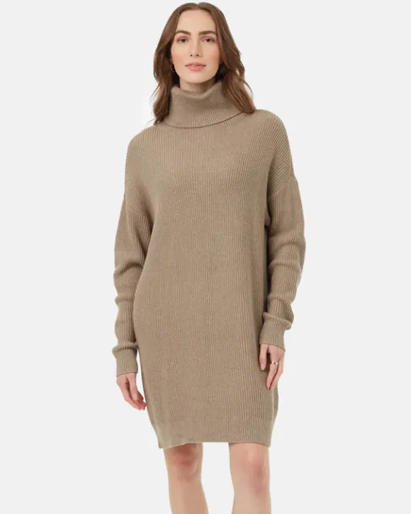 Highline Oversized Turtleneck Sweater Dress