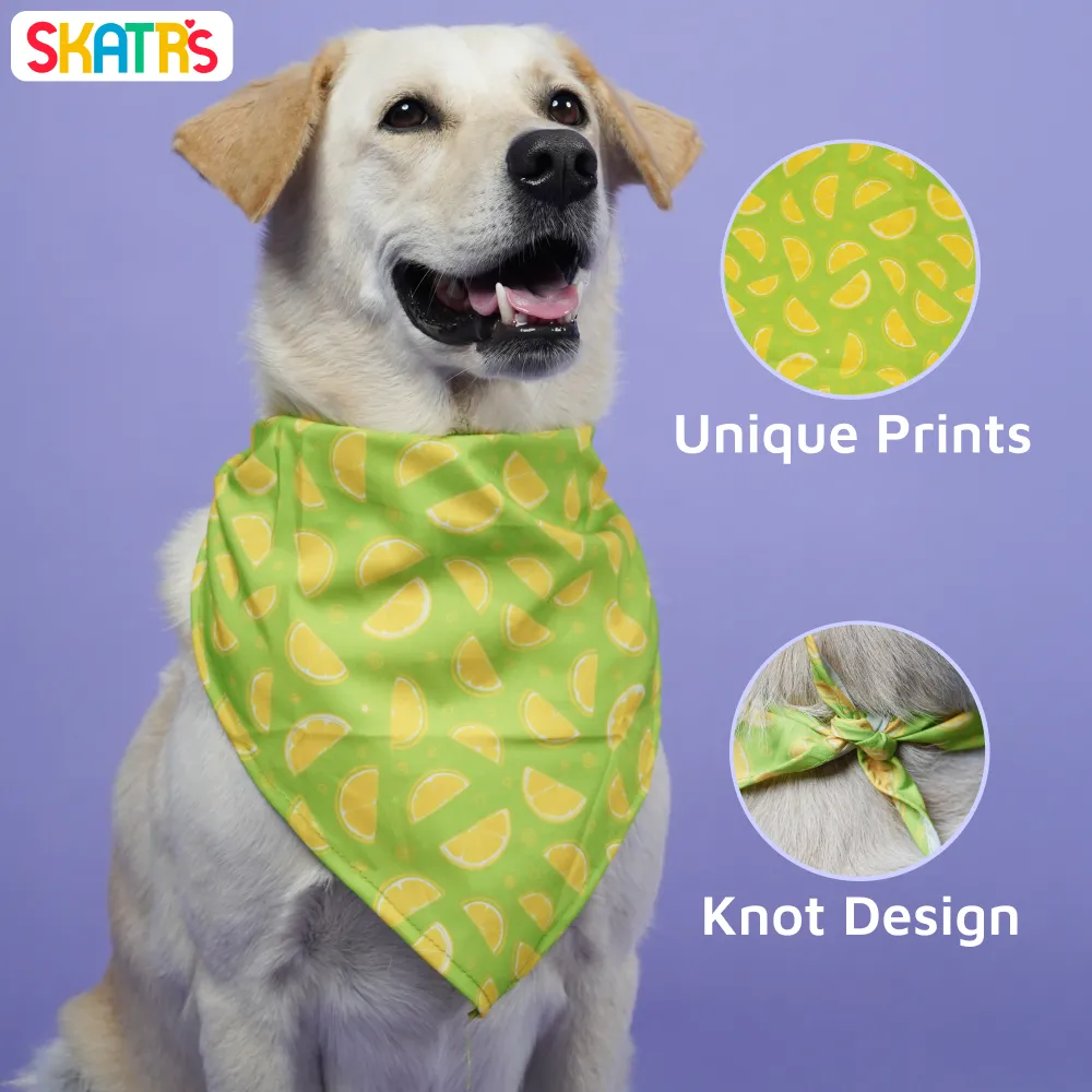 Skatrs Bandana for Dogs Perfect for Trendy Pets (Green )